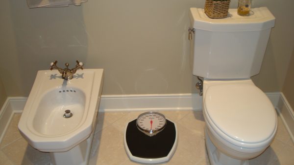 Toilet Bidet Installation Greenville MI